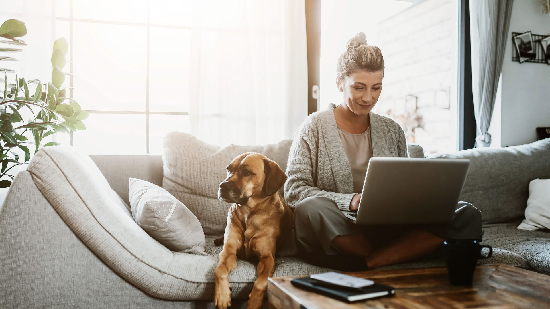 Image showing a woman using a laptop on the couch with her dog sitting next to her